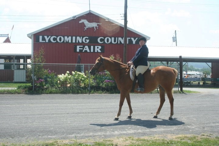 County fair to improve equine area
